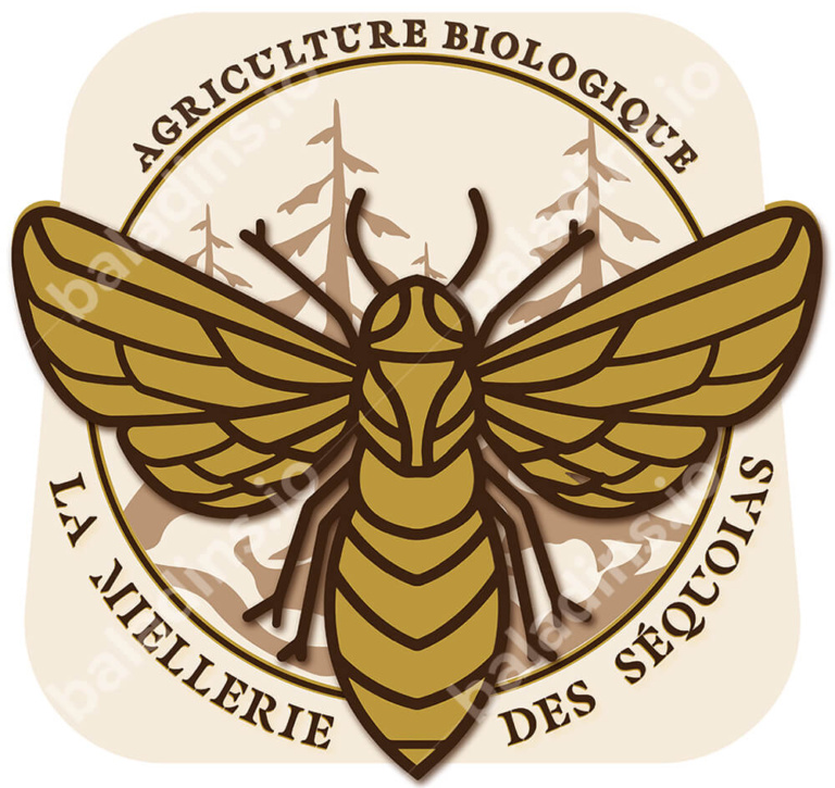 création de logo miellerie, création étiquettes produits, logo miellerie des séquoias, impression étiquette rouleau